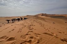 2 Day Sahara Desert Experience