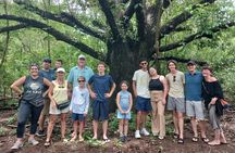 Mangrove Boat Tour in Tamarindo
