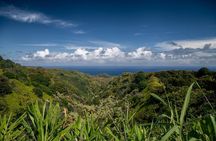 Road to Hana Adventure with Farm to Table Lunch in Town of Hana