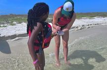 Pensacola Beach Kayak Tour 