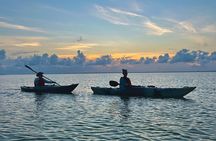 Pensacola Beach Kayak Tour 