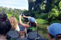 Canoe tour in Tortuguero National Park small group