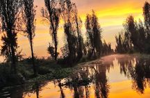 Xochimilco Ecotourism at Dawn in Canoe and Organic Breakfast 