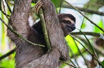 Private Manuel Antonio National Park Tour from San José