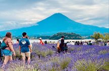 Mt.Fuji 1 day Spanish and English tour 