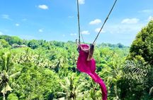 Bali Taman Grya Beji Waterfall and Jungle Swing Private Tour