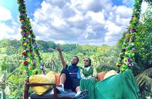 Bali Taman Grya Beji Waterfall and Jungle Swing Private Tour