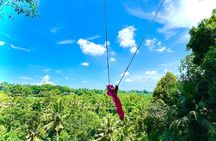 Bali Taman Grya Beji Waterfall and Jungle Swing Private Tour