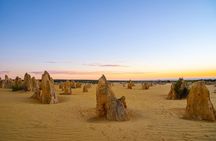 Pinnacles Desert Lobster Tour from Perth