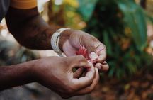 Walkabout Cultural Adventures - Ngana Julaymba Dungay Full Day