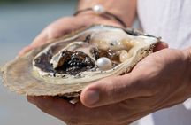 Treasures of Broome Tour