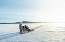 Rovaniemi Insider: 10 km Husky Self‑Drive Adventure