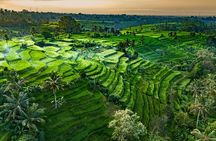 Private Tour of Bali’s Temples, Rice Terraces & Villages