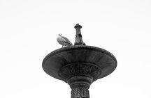 Discover Vigo Historical and Cultural Private Walking Tour