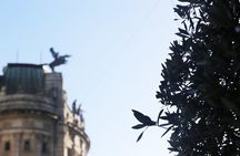 Discover Vigo Historical and Cultural Private Walking Tour