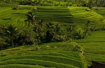 Private Tour of Bali’s Ubud: Culture, Nature & Heritage