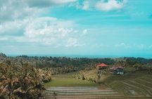 Private Tour of Bali’s Ubud: Culture, Nature & Heritage