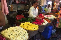 Half Day City Tour of Mumbai - Highlights of City