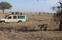 3 Days and 2 Nights Masai Mara Group Joining Budget Safari