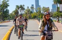 Palermo and Recoleta Private Experience by bike with Local Host