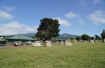 4 Days Serengeti, Ngorongoro, Tarangire Group + Airport pick up