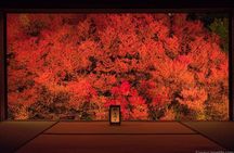 1Night and 2Days Trip to Kinosaki Onsen and Temple 