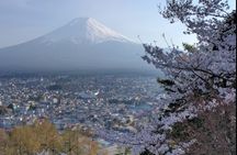 Mt.Fuji 1 day Spanish and English tour 