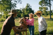 Sunset Horseback Ride With Scenic Views