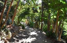 White Mountains Jeep Safari, Botanical Gardens & Farm Lunch