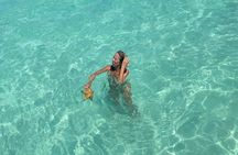 Catalina Island Tour Snorkel Beach Dominican Lunch