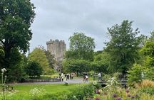 Private Guided Day Tours from Cork - Luxury Line MPV XL