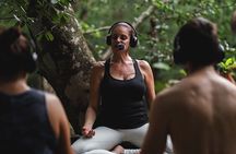Yoga and Meditation DEtox Retreat