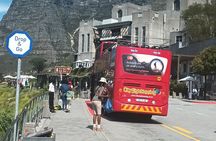Robben lsland Plus Table Mountain Full Day Tour