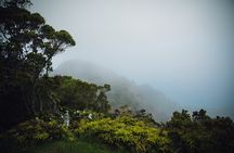 Day Trip from Oahu to Kauai: Waimea Canyon & Koke'e Tour