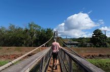 Day Trip from Oahu to Kauai: Waimea Canyon & Koke'e Tour