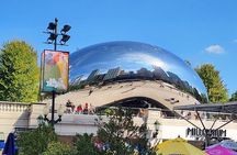 Luxury Minibus Chicago City Tour