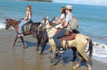 Aventure on horseback the route from Playa Río y Campo