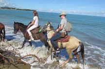 Aventure on horseback the route from Playa Río y Campo