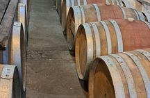  Wine Tasting Tour in Napier Region