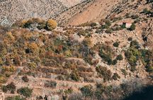 Shared Day Trip To Ourika Valley - Ourika Valley Excursion