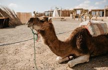 2 Days Marrakech Desert Tours - Marrakech to Zagora