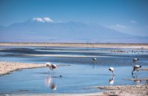 Red Stones and High Plains Tour from San Pedro