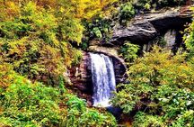 Rainforests and Waterfalls of Western NC
