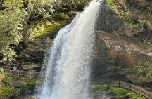 Rainforests and Waterfalls of Western NC