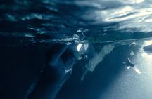 Manta Ray Night Snorkel Adventure in Kona