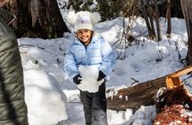 Lake Mountain Snow Tour