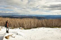 Lake Mountain Snow Tour
