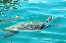 Private Tour of Zakynthos with Coastlines and Culture