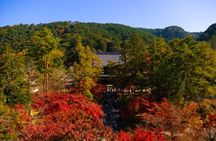 Peaceful Kyoto Walking Tour