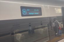 1 day Bullet train tour Beijing-Xi'an (Terra-Cotta Army Warriors)